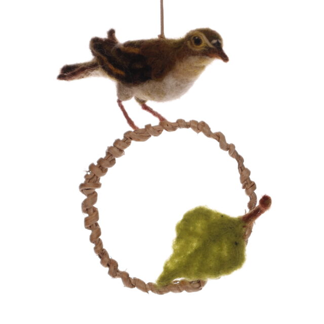 Lövsångare på björkrotsring