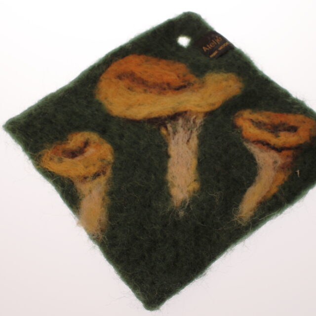 Kantareller, grytlapp *SÅLD