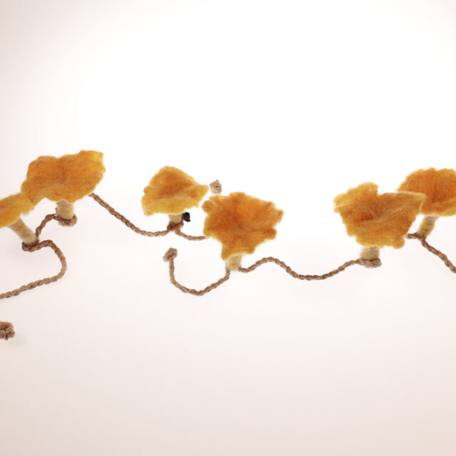 Kantareller, girlang *SÅLD