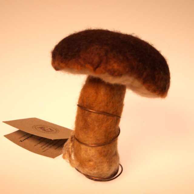 Karljohansvamp *SÅLD