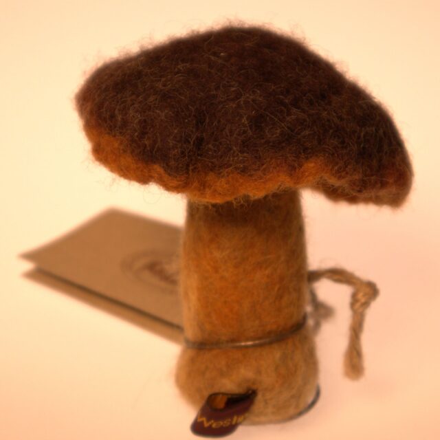 Karljohansvamp *SÅLD