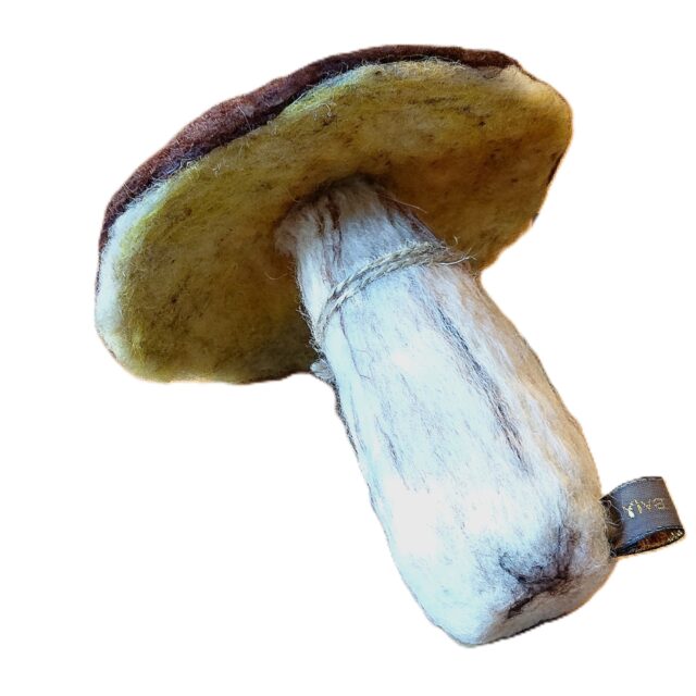 Karljohansvamp nr 3 *SÅLD