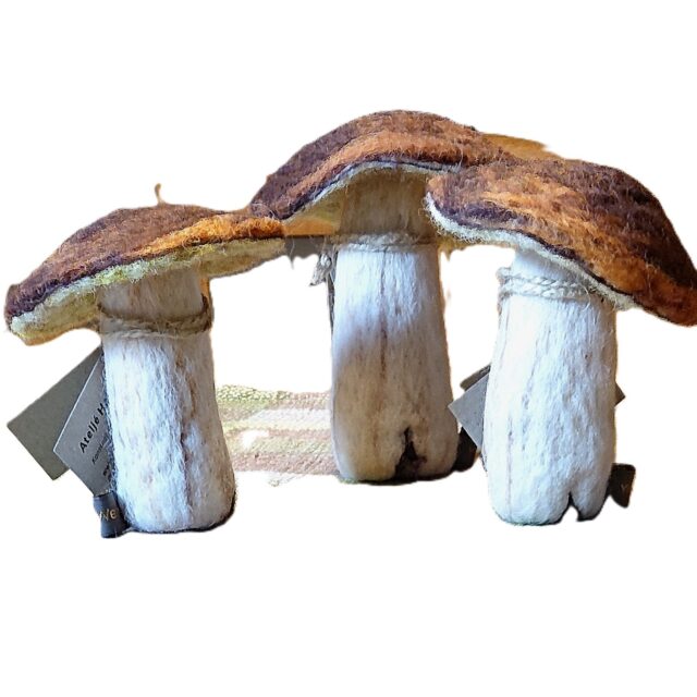 Karljohansvamp nr 4 *SÅLD